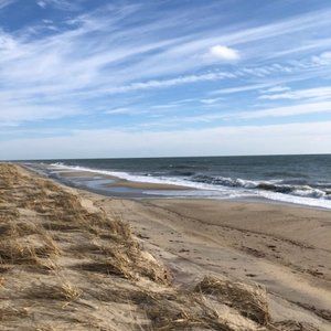 Meet your Posher, Cheri